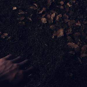 中国巨乳杂技三人组在线看
